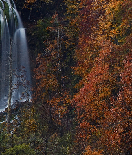 电脑全自动挂机赚钱一天40元