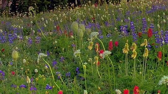 创造球会2002赚钱心得