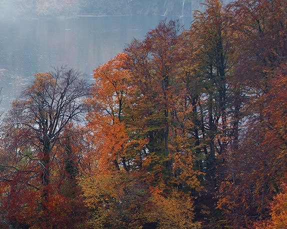 一个0起步赚钱案例