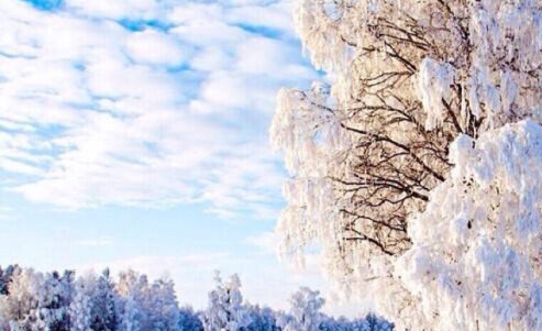 成功显化案例有哪些