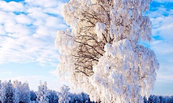 虾皮成功赚钱案例