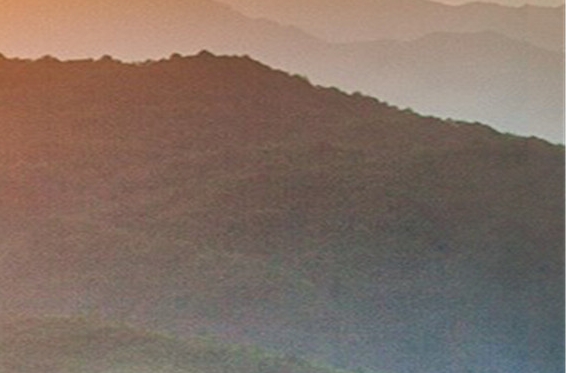 女性副业赚钱身边不起眼的赚钱副业