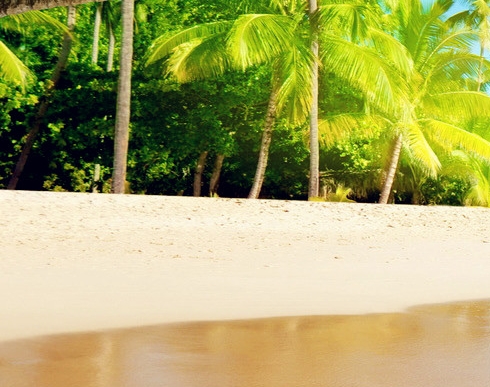 疫情后复工的工作感悟1500字