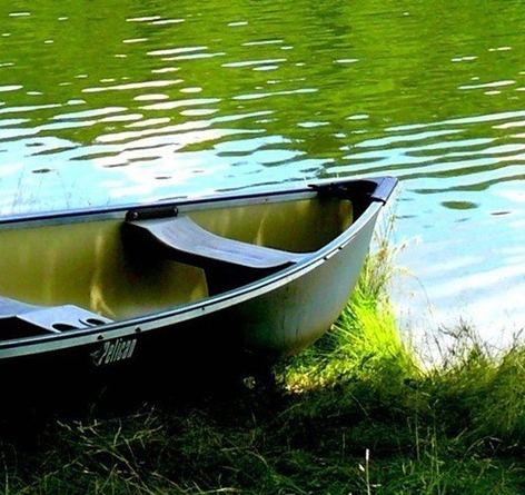 调查赚钱项目活动文案范文