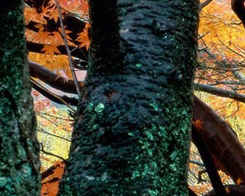 买家怎么通过行家心得赚钱