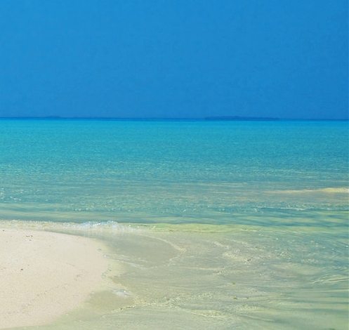 在小区挣钱的案例