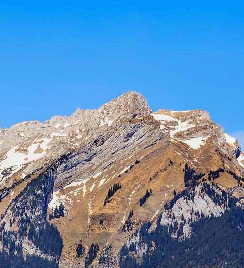 目前有哪个好项目致富