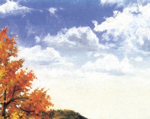 拆家园币赚钱方法视频下载