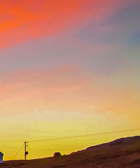 在家致富一项目