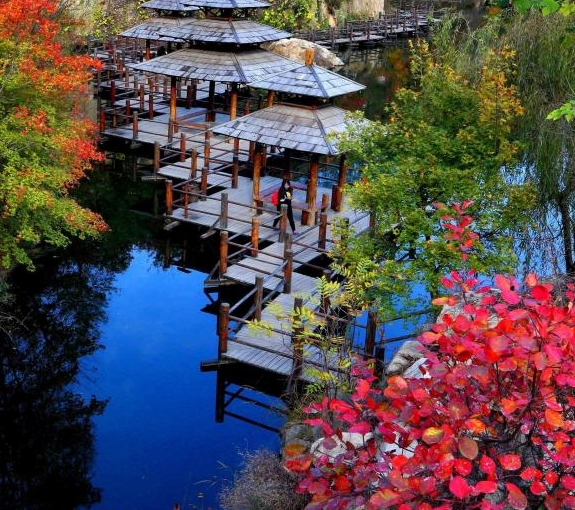 春节另类赚钱案例