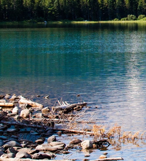 开发别墅和高层哪个赚钱