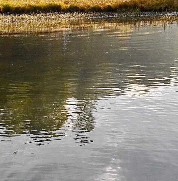 百世快运加盟赚钱么