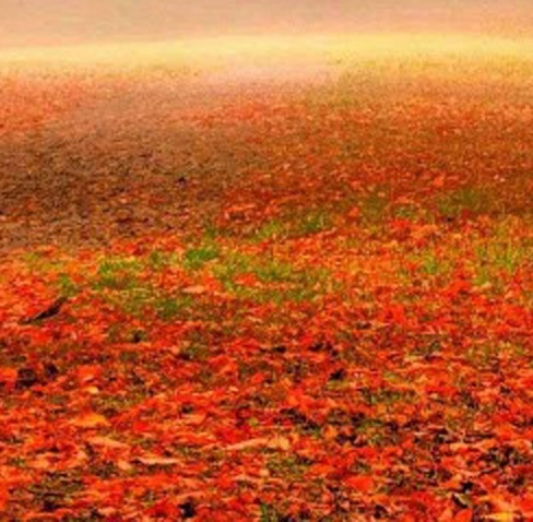 网上赚钱最可靠的10种方法