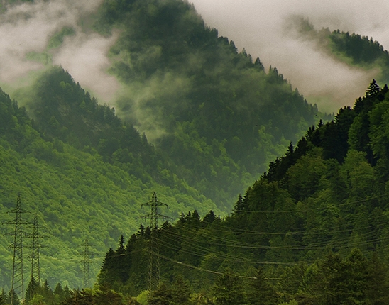 颠覆认知的十大成功案例