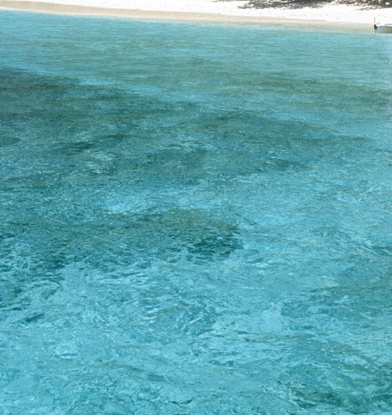 利用别人店赚钱的例子