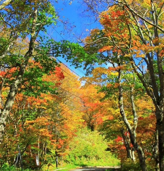 做莆田鞋赚钱吗