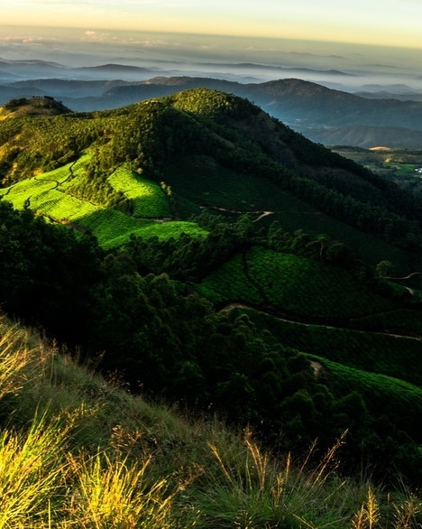 创业加盟项目赚钱品牌