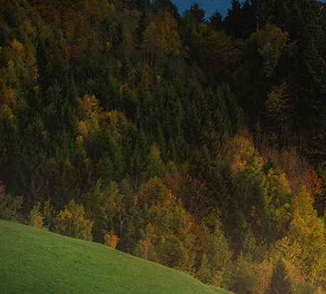 洗衣液逆向思维赚钱案例