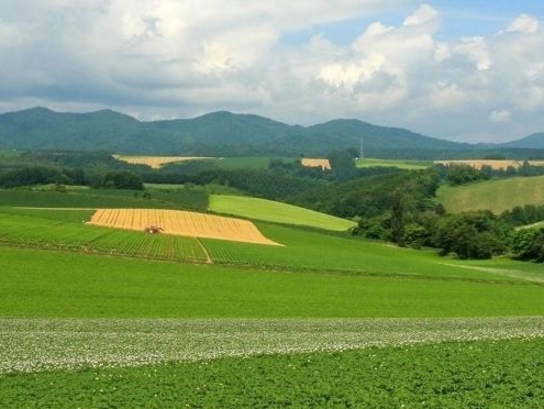 今年什么好赚钱的项目