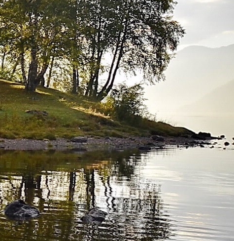 企业控制成功的案例