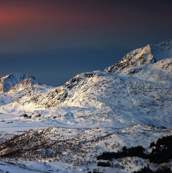 婚姻介绍所靠什么盈利