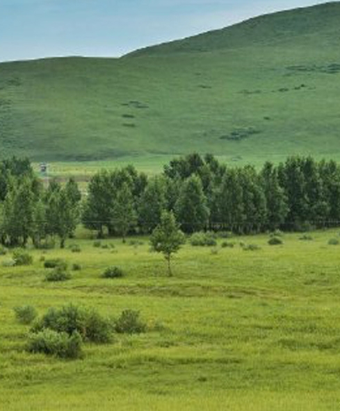 靠技能赚钱的案例