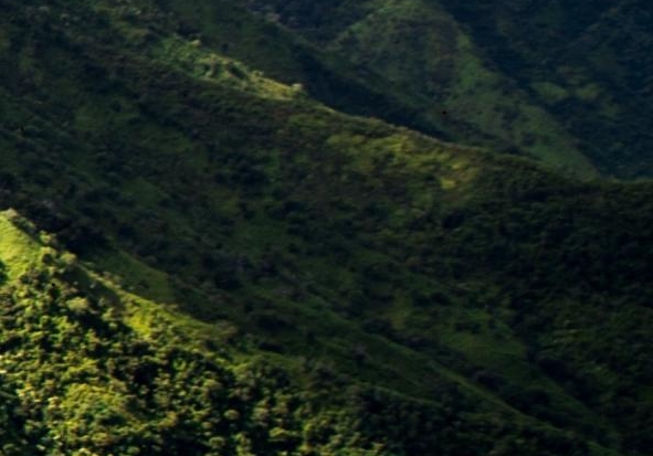 家具行业赚钱吗