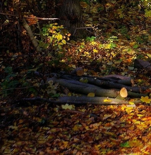 正威国际滕州项目