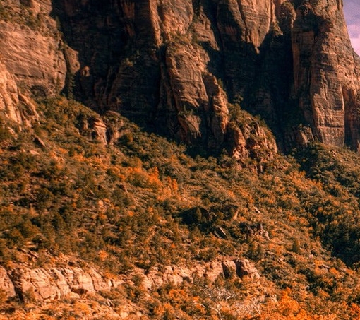 如何靠翻译挣钱