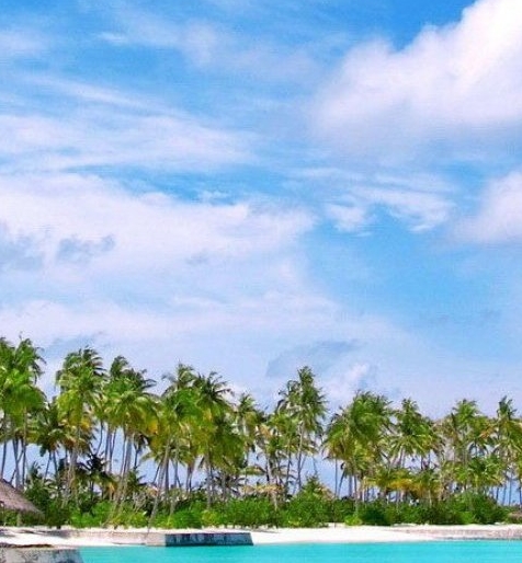 非凡好项目官方帐号赚钱手册