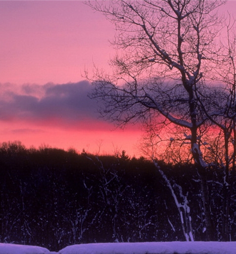 抖音壁纸号怎么赚钱