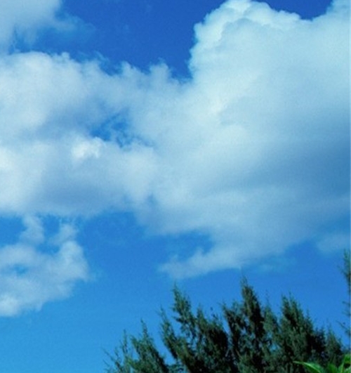 网上说的挖矿挣钱项目是真的吗