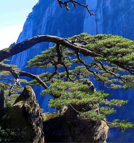 女生创业投资小利润大