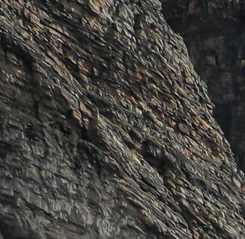 玩游戏怎么挣钱