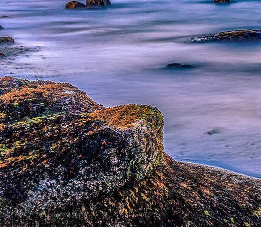 做任务赚佣金是骗局