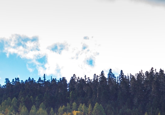 模拟开车做项目赚钱软件