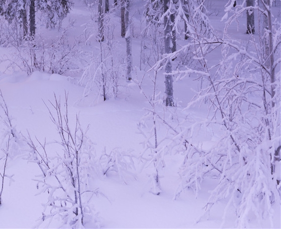 文科生怎么当数学老师