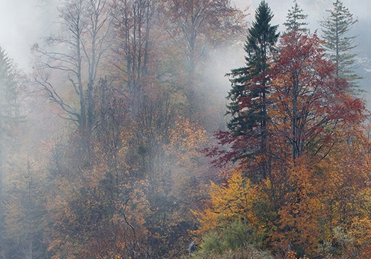期货到底怎么才能赚钱