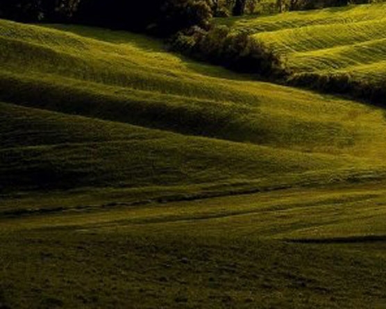 成功的渠道运营案例