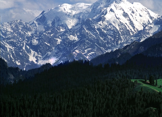 导师指导赚钱是真的吗