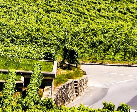 忘记营销赚钱的案例