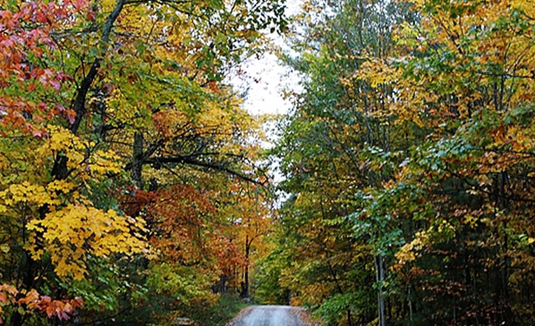 可以赚钱的软件有哪些