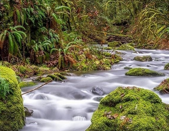 黄金钻石培训心得