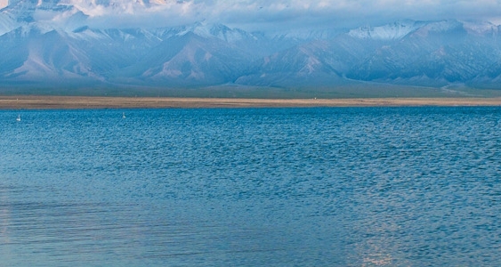 农村致富故事成功案例