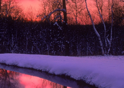 空手赚钱的真实案例