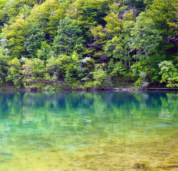 成功永属自强者的实例
