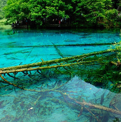 抖音合拍用已有的视频