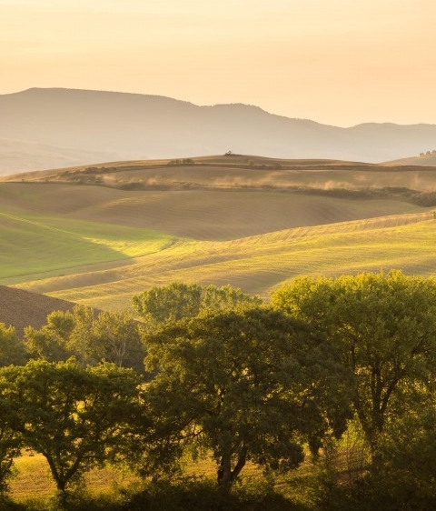 操盘日志赚钱案例