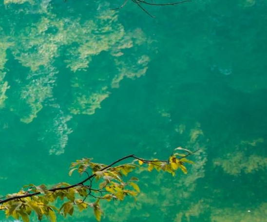 项目亏本追谁的责