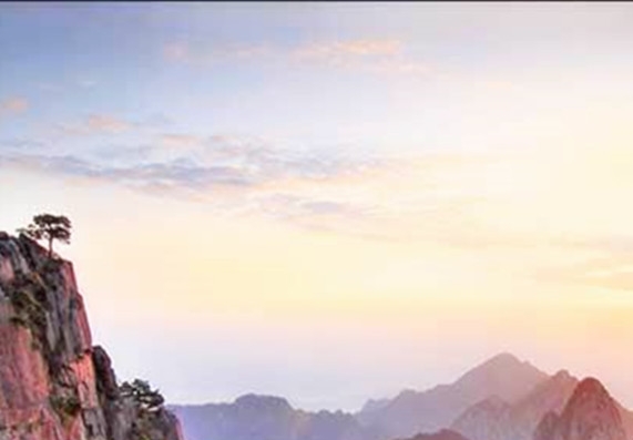 宠物场赚钱方法大全